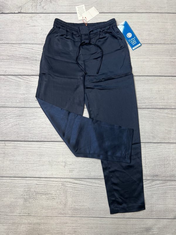 Pants Lounge By Skies Are Blue  Size: Xs For Discount