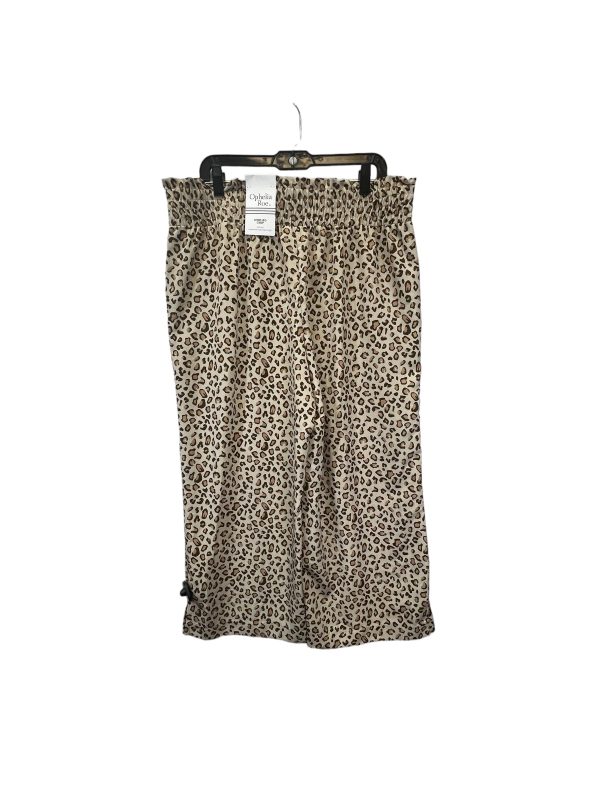 Animal Print Pants Wide Leg Ophelia Roe, Size L For Discount