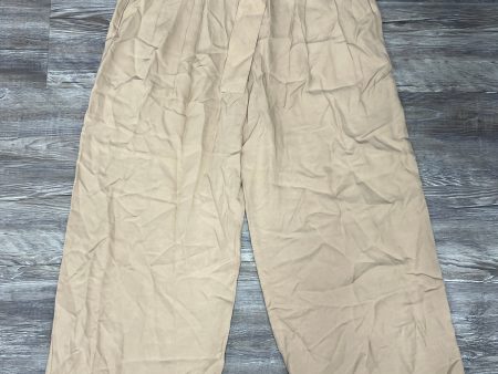 Beige Pants Designer Cma, Size 2 For Discount